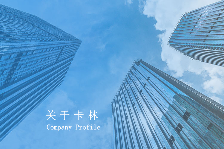 卡林新能源实亿国际介绍