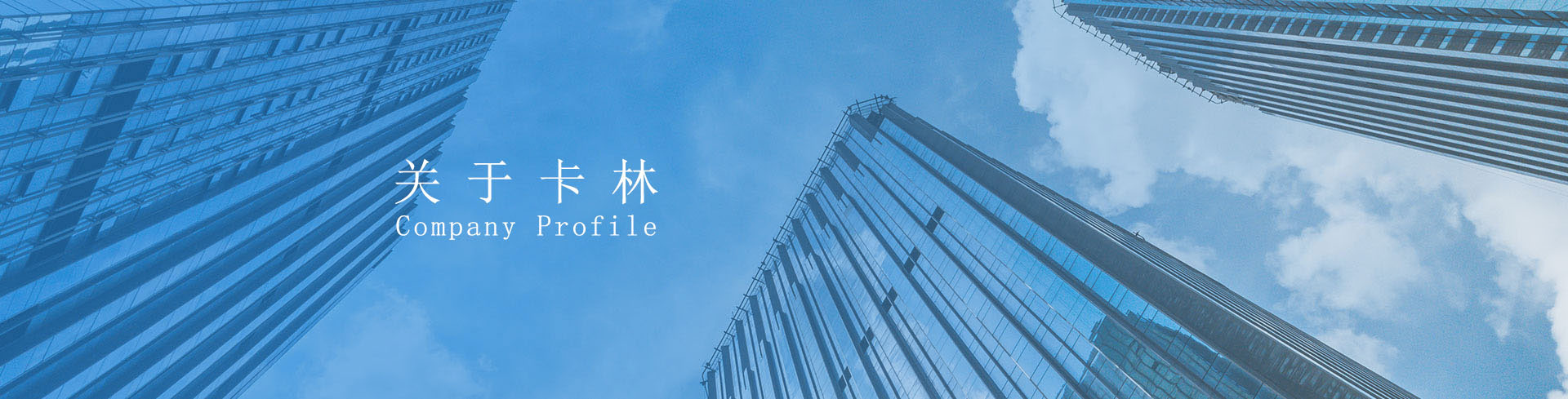 卡林新能源实亿国际介绍